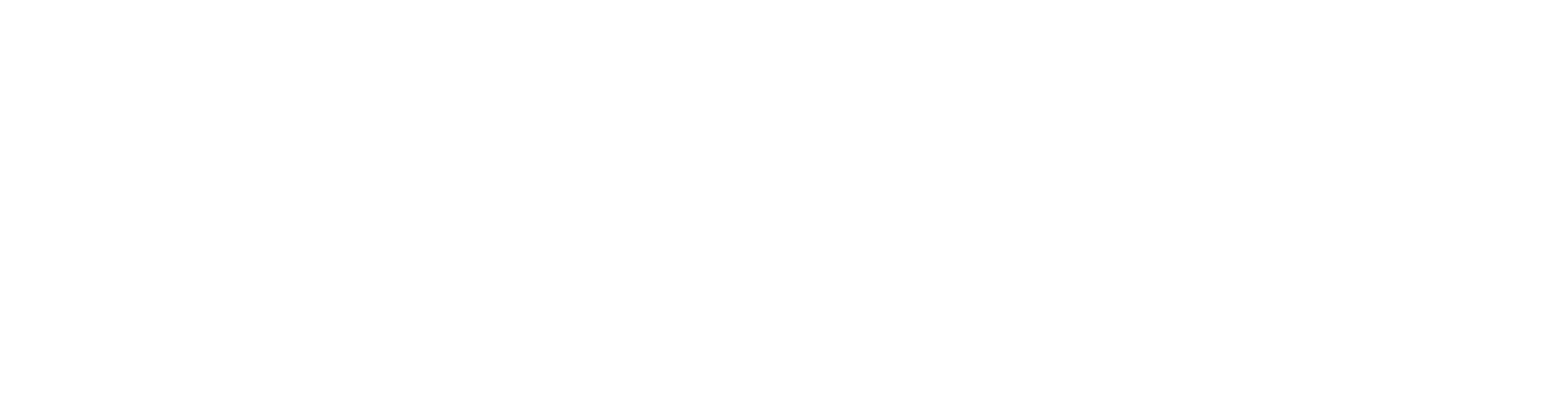 LOGO DURAPANEL SYSTEM_NEGATIVO BLANCO